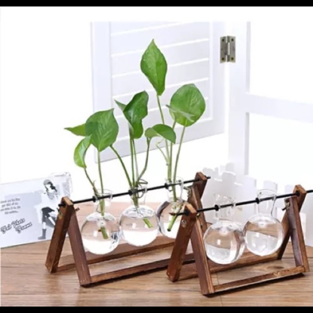 Sold out  🔥 Mini Terrarium Two Ball Set 🍃 - Picture 3 of 3